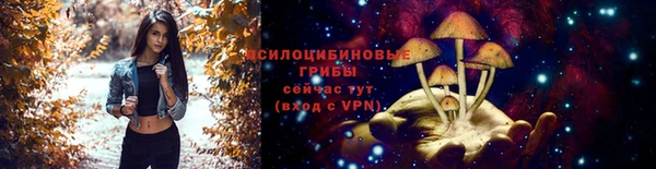 спиды Армянск