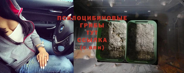 спиды Армянск