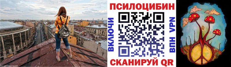 цена наркотик  Руза  omg ссылка  Псилоцибиновые грибы мицелий 